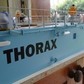 Thorax 15.JPG
