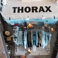 Thorax 135.jpg