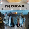 Thorax 145.JPG