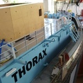 Thorax 144.JPG