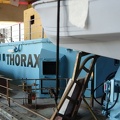Thorax 146.JPG